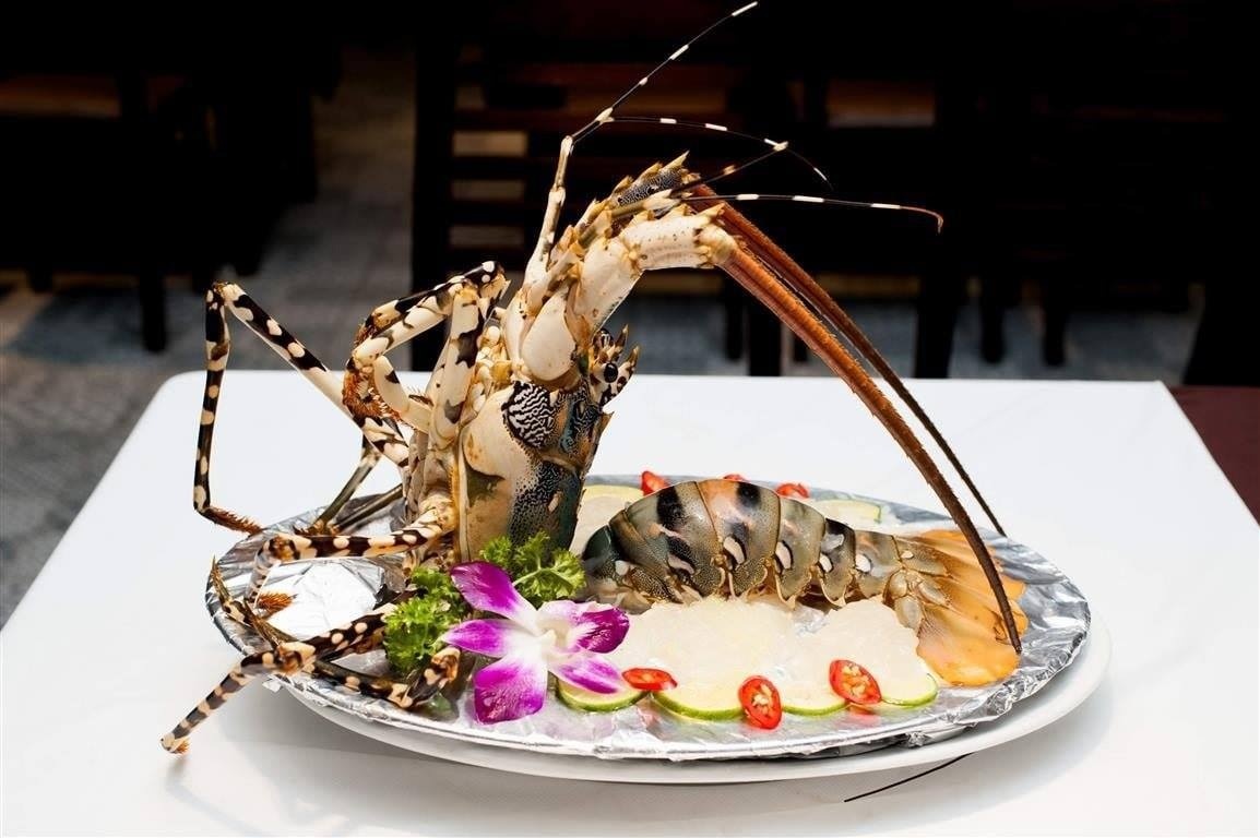 Tai sao tom hum bong dat do hinh anh