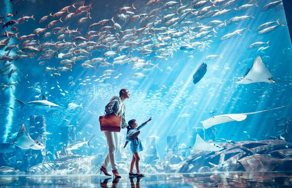 Ben trong thuy cung lon nhat Trung Dong hinh anh