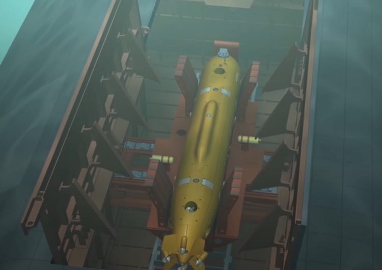 Vu khi hien dai cua Nga anh 10