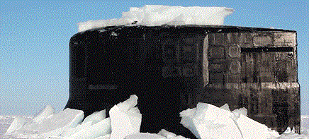 Tau ngam My doi lop bang day 0,5 m o Bac Cuc hinh anh