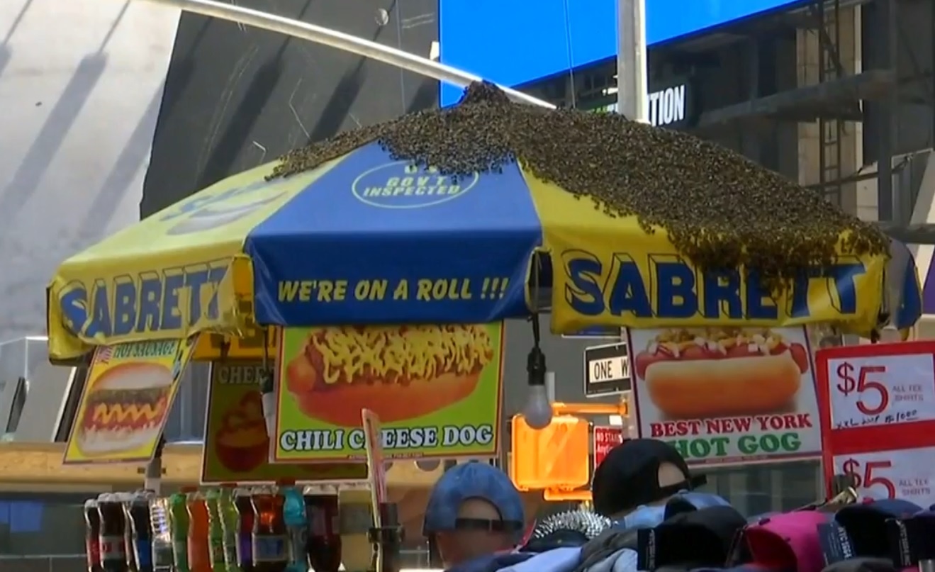 25.000 con ong 'tan cong' quay hang rong o Quang truong Thoi dai hinh anh