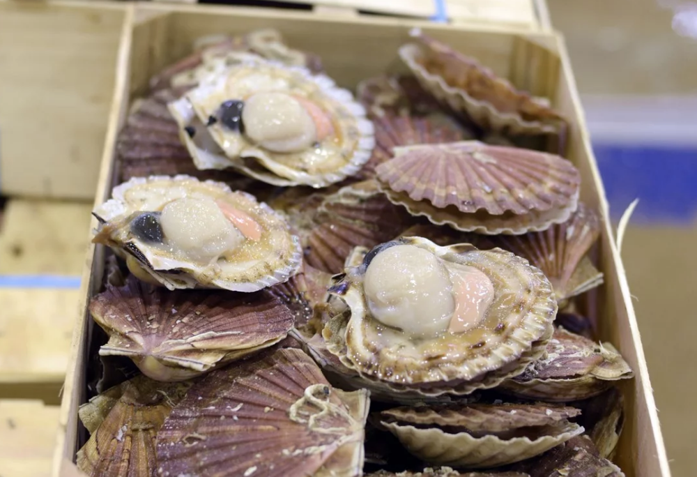 Cuộc chiến sò điệp Anh - Pháp ảnh 2 Cuoc chien so diep Anh - Phap anh 2