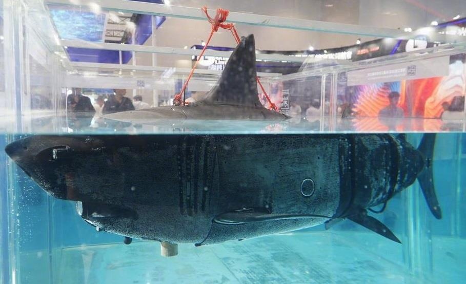 Trung Quoc gioi thieu tau ngam do tham mo phong hinh ca map hinh anh