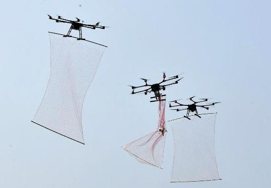 Trung Quoc che tao thiet bi bat drone nhu Nguoi nhen hinh anh