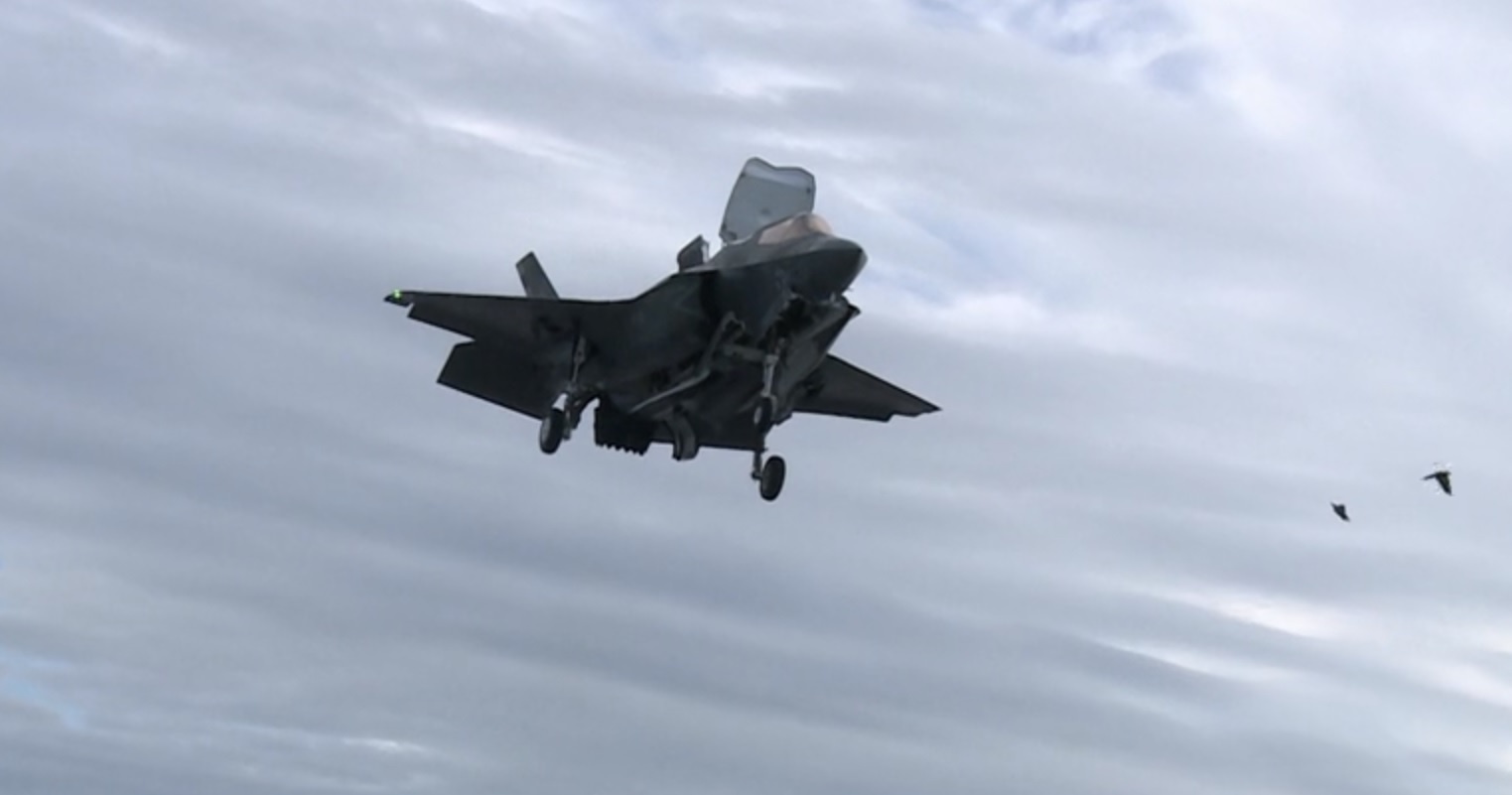 Chim song tren tau san bay Anh, de doa tiem kich F-35 hinh anh