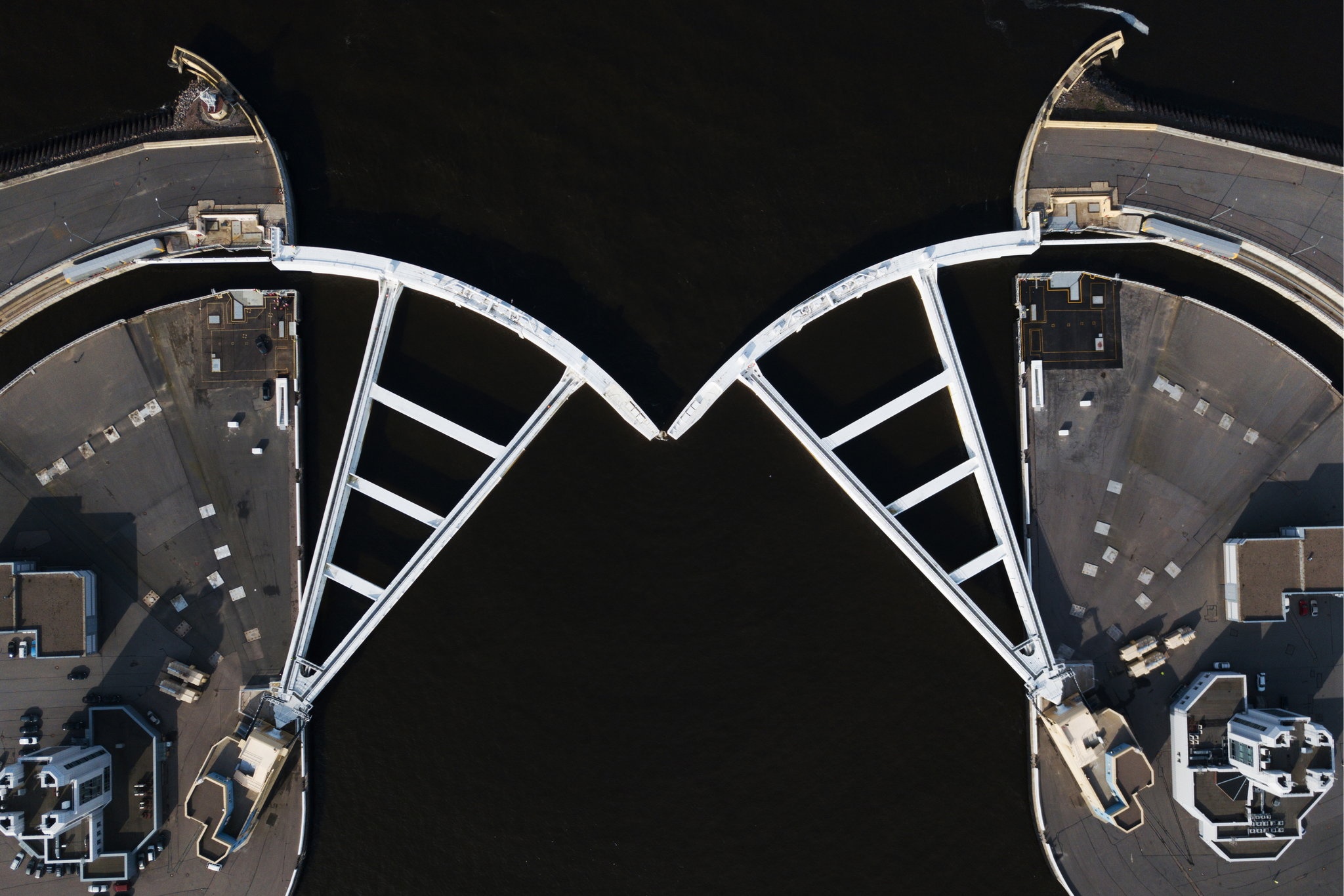 Bien doi khi hau anh 1