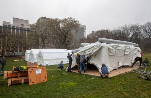 benh vien da chien new york anh 2