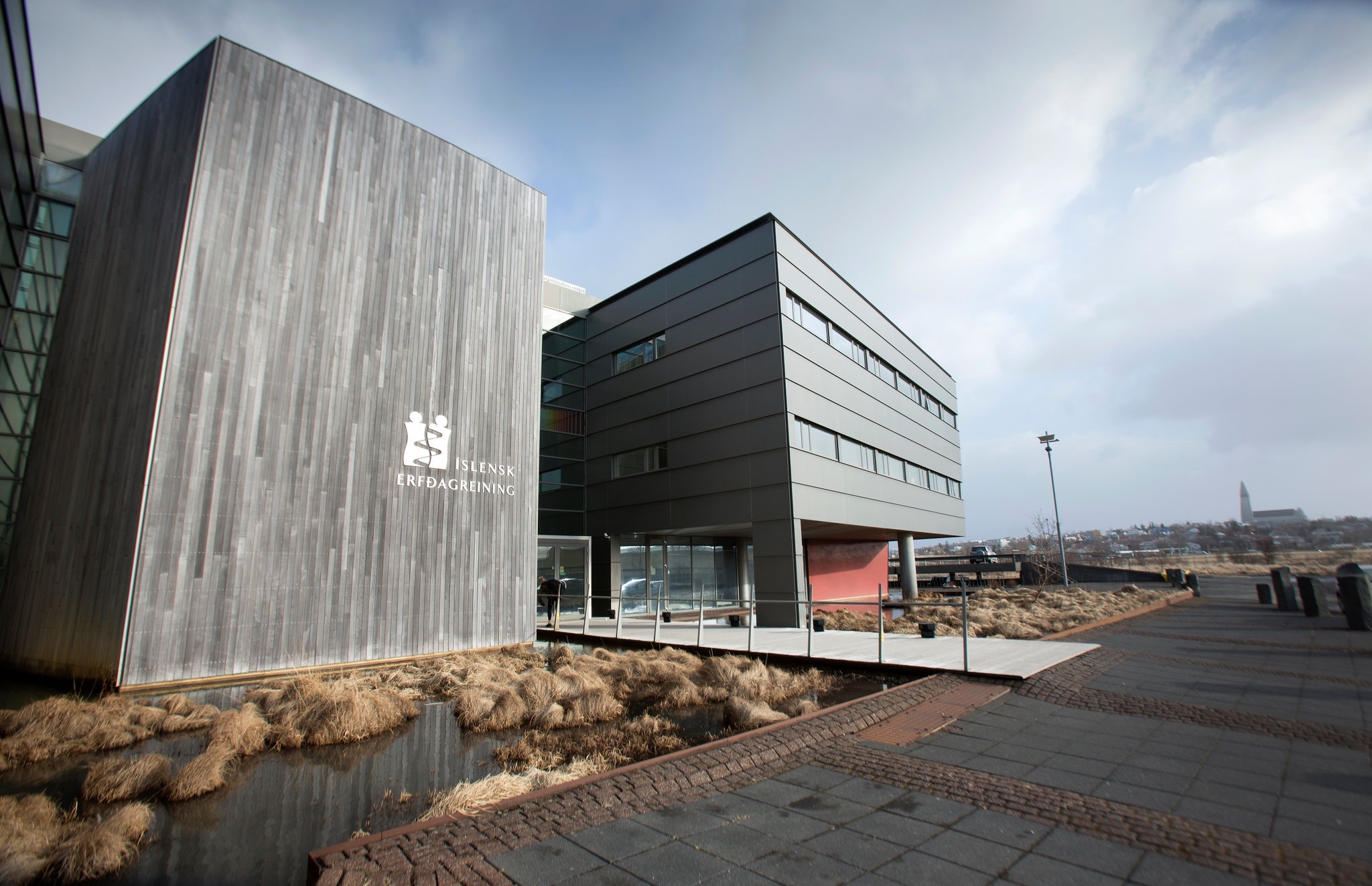 Dai dich Covid-19 anh 1