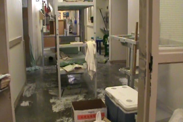 o dich nha tu corona anh 2