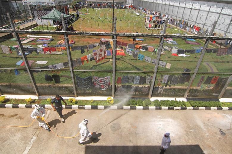 o dich nha tu corona anh 4