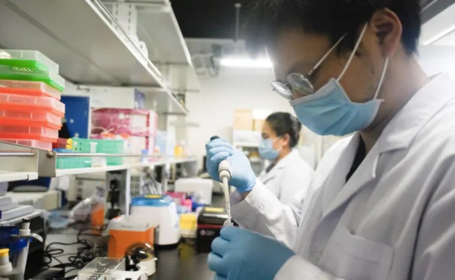 Dai dich Covid-19 anh 1