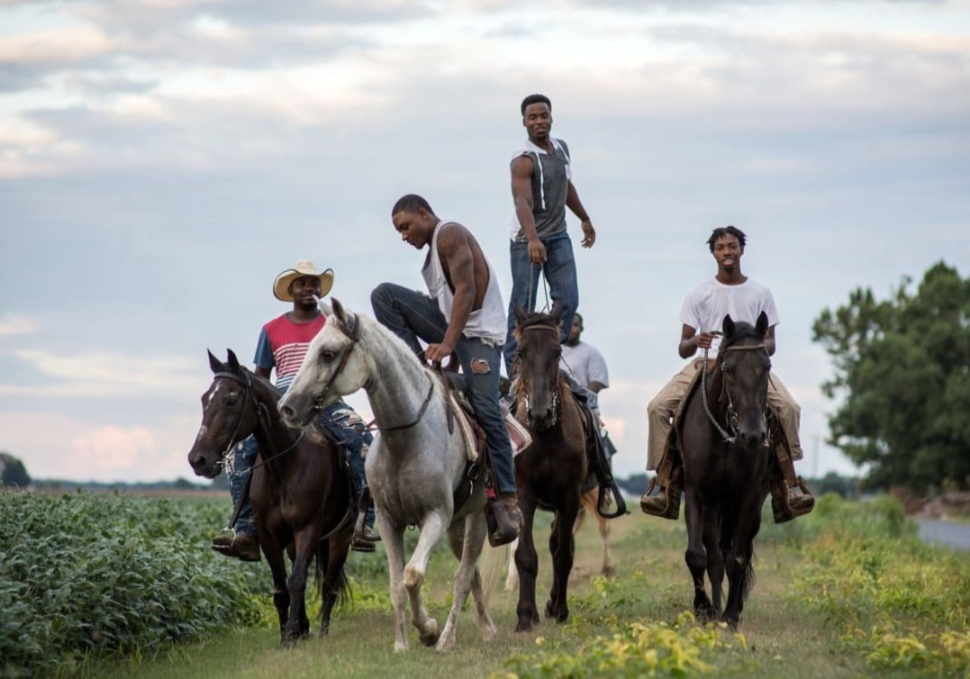 Cao boi da den tren lung ngua bi gat khoi lich su van hoa My hinh anh