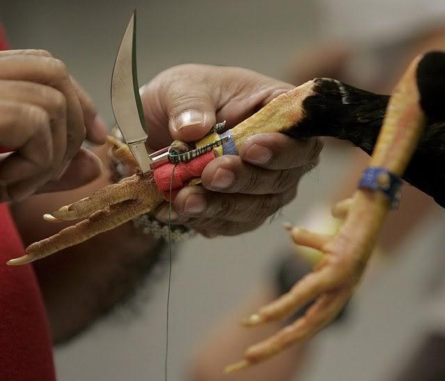 Canh sat Philippines thiet mang vi luoi dao o chan ga choi hinh anh