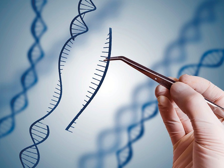 Dai dich Covid-19 anh 1