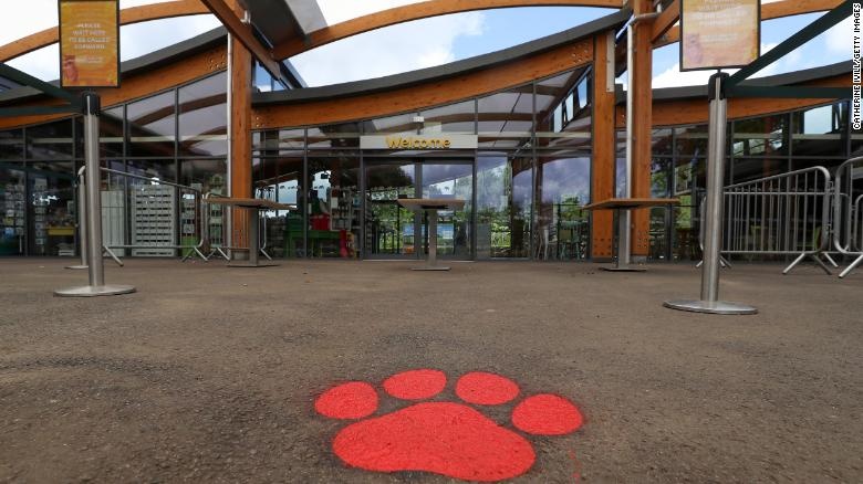 So thu Anh ban chet gau anh 1