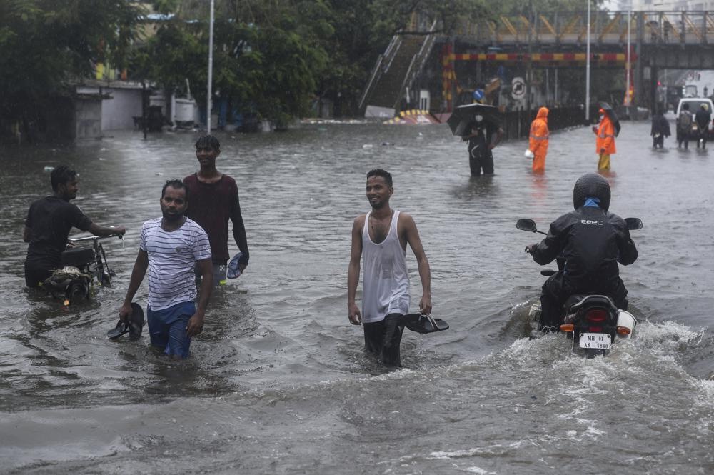 Mua lon o An Do anh 6