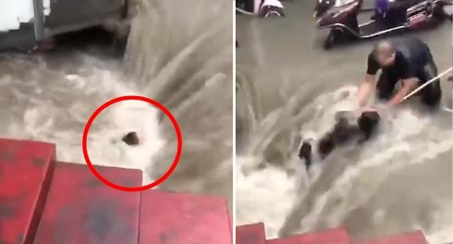 Co gai suyt bi nuoc lu hut xuong cong o Trinh Chau hinh anh