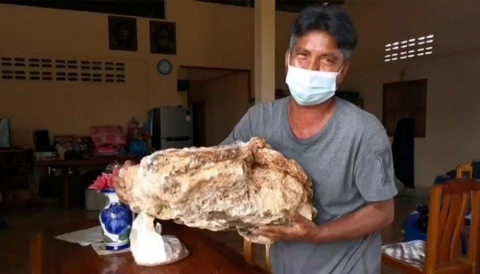 Ngu dan Thai Lan tim thay long dien huong tri gia hon mot trieu USD hinh anh