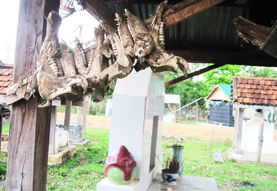 Mo cua Vua san voi Dak Lak duoc trang tri bang xuong thu hinh anh