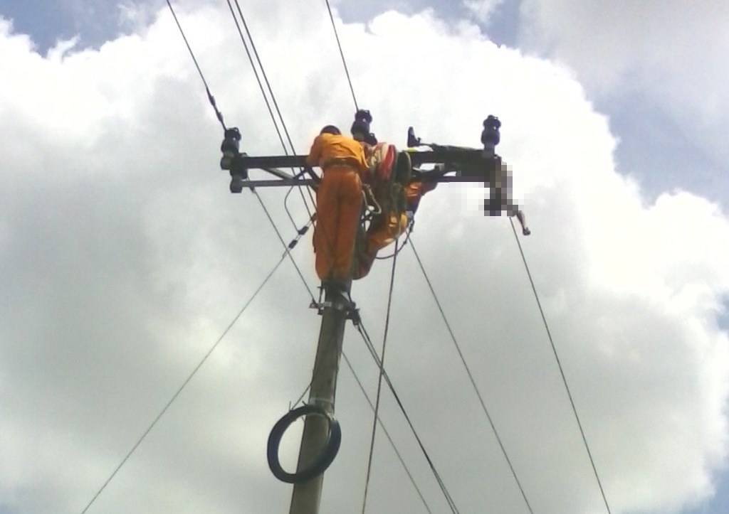 Mot hoc sinh lop 6 chet tren cot dien cao the hinh anh