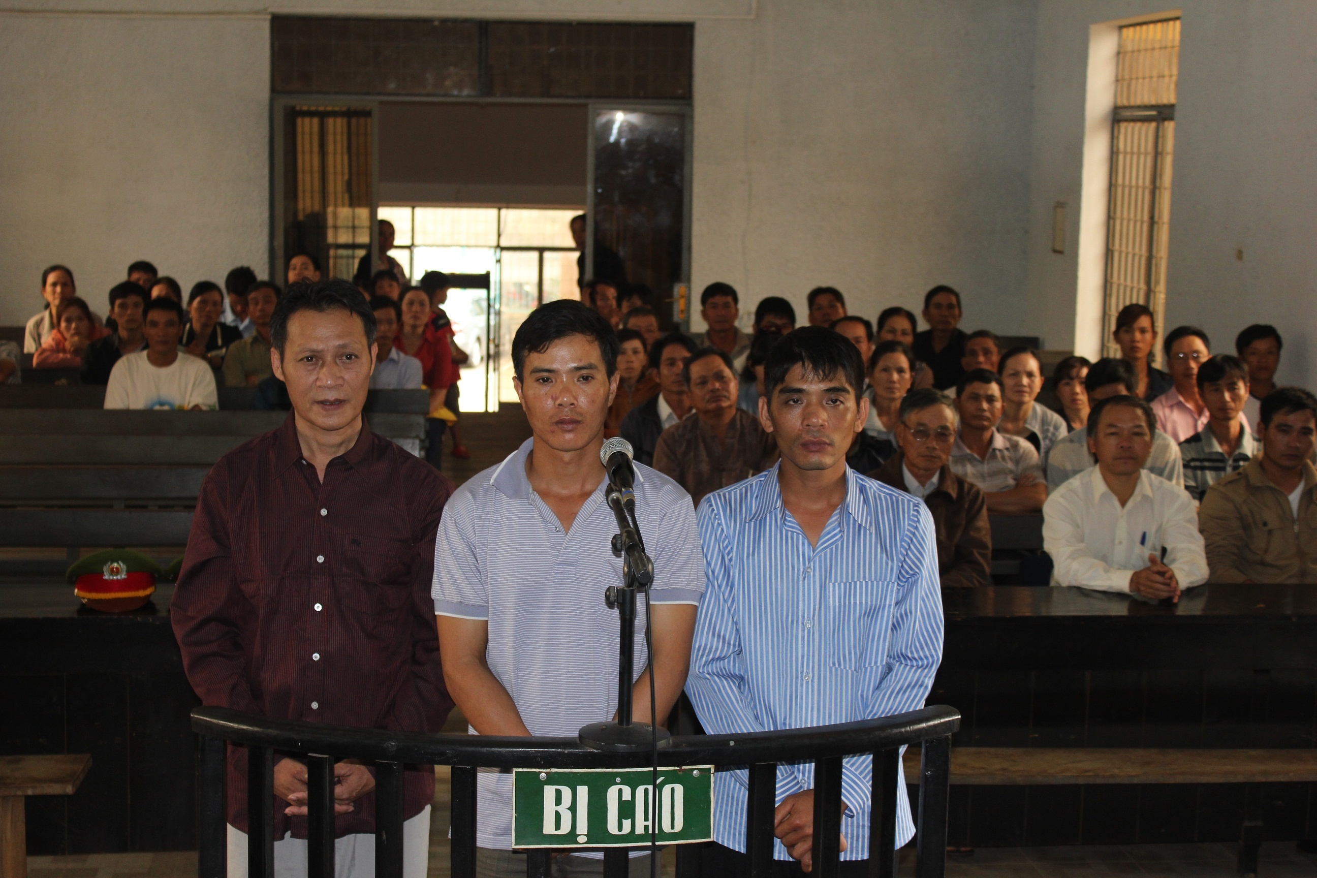 An mang tu viec con ga da chet hinh anh