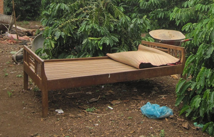 Nam sinh tu vong sau 15 ngay uong thuoc diet co tu tu hinh anh