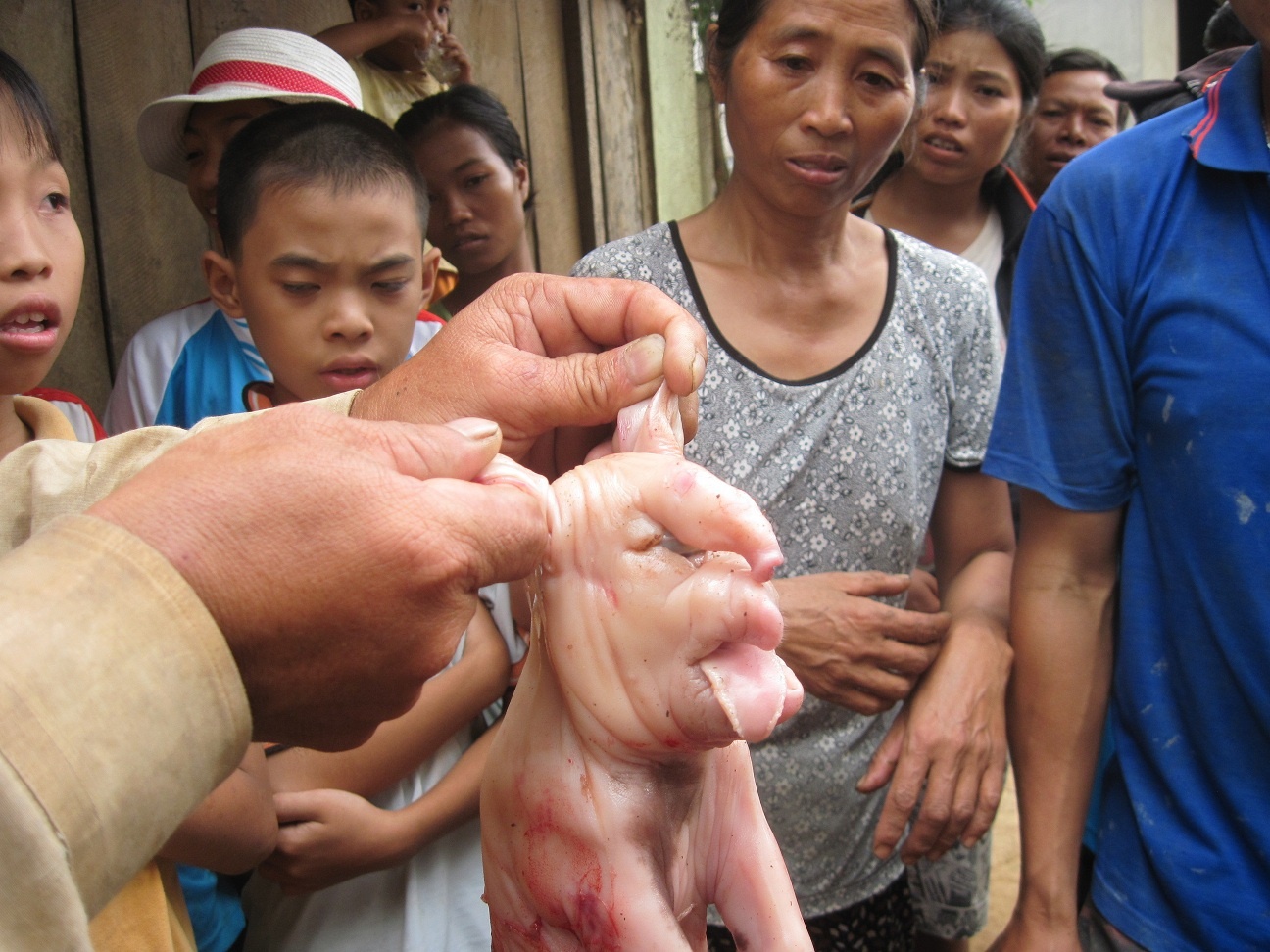 Hang tram nguoi keo di xem lon de ra voi hinh anh