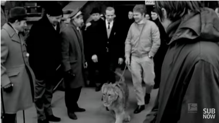 Bundesliga viruscorona Dortmund anh 2