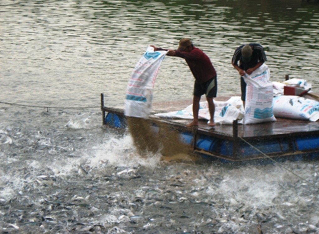 Thi the nam thanh nien noi trong long ca hinh anh