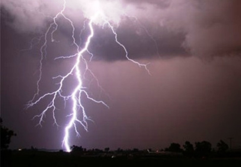 Hai cha con di rung bi set danh tu vong hinh anh