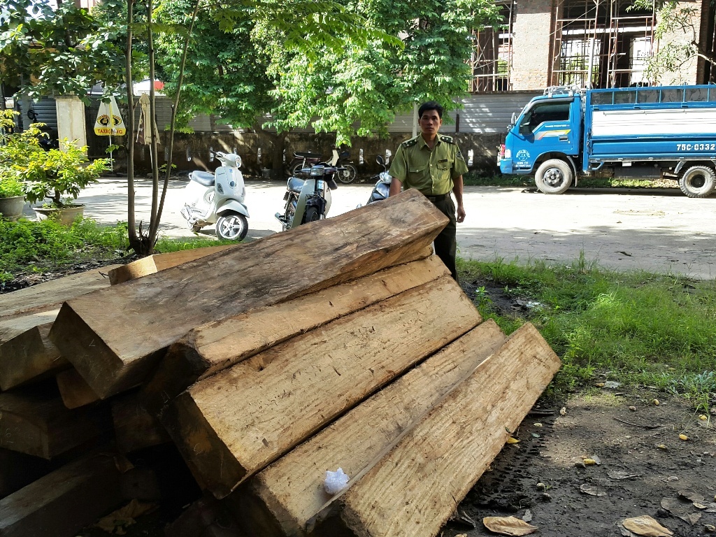 Bat giu 18 phach go cho cho lau ve Hue hinh anh