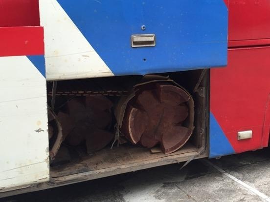 Khoang xe khach chat day go quy khong ro nguon goc hinh anh