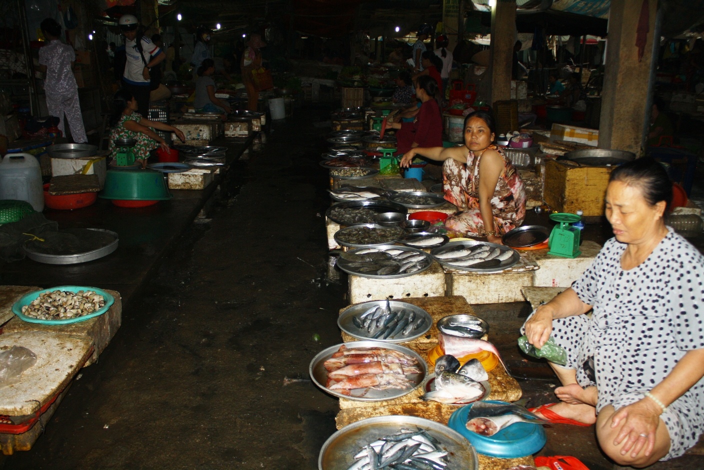 Ca chet o Thua Thien - Hue la do doc to anh 2