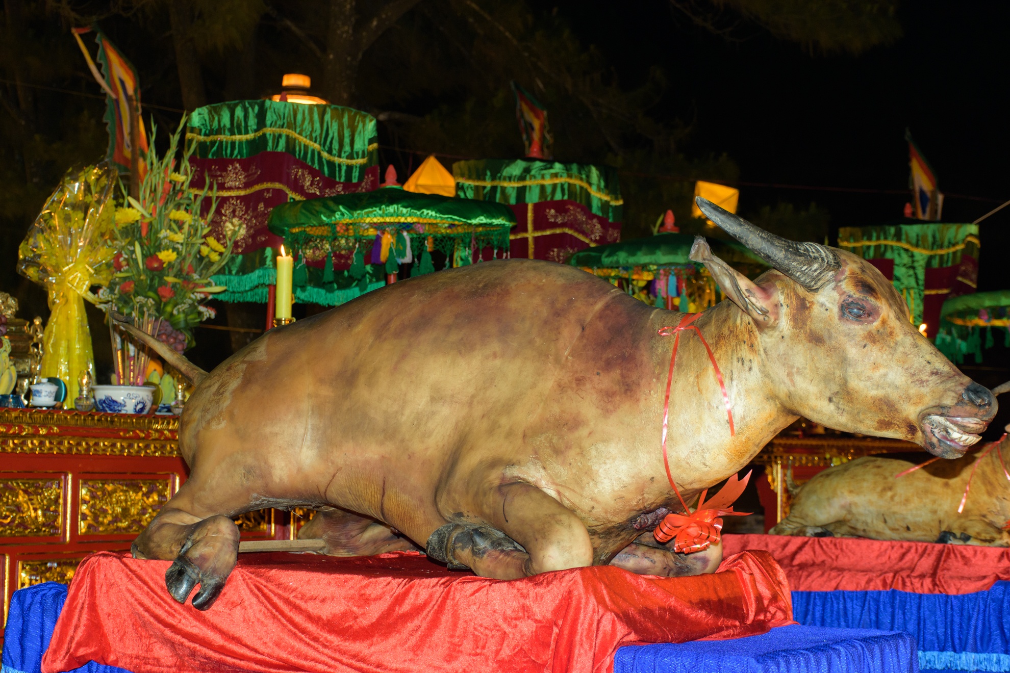 Le te dan Nam Giao anh 8