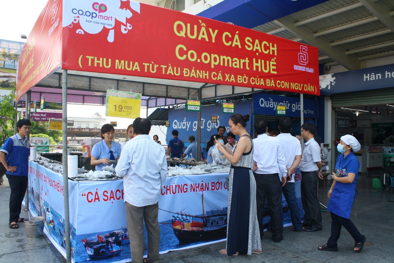 ban ca sach cho dan anh 1