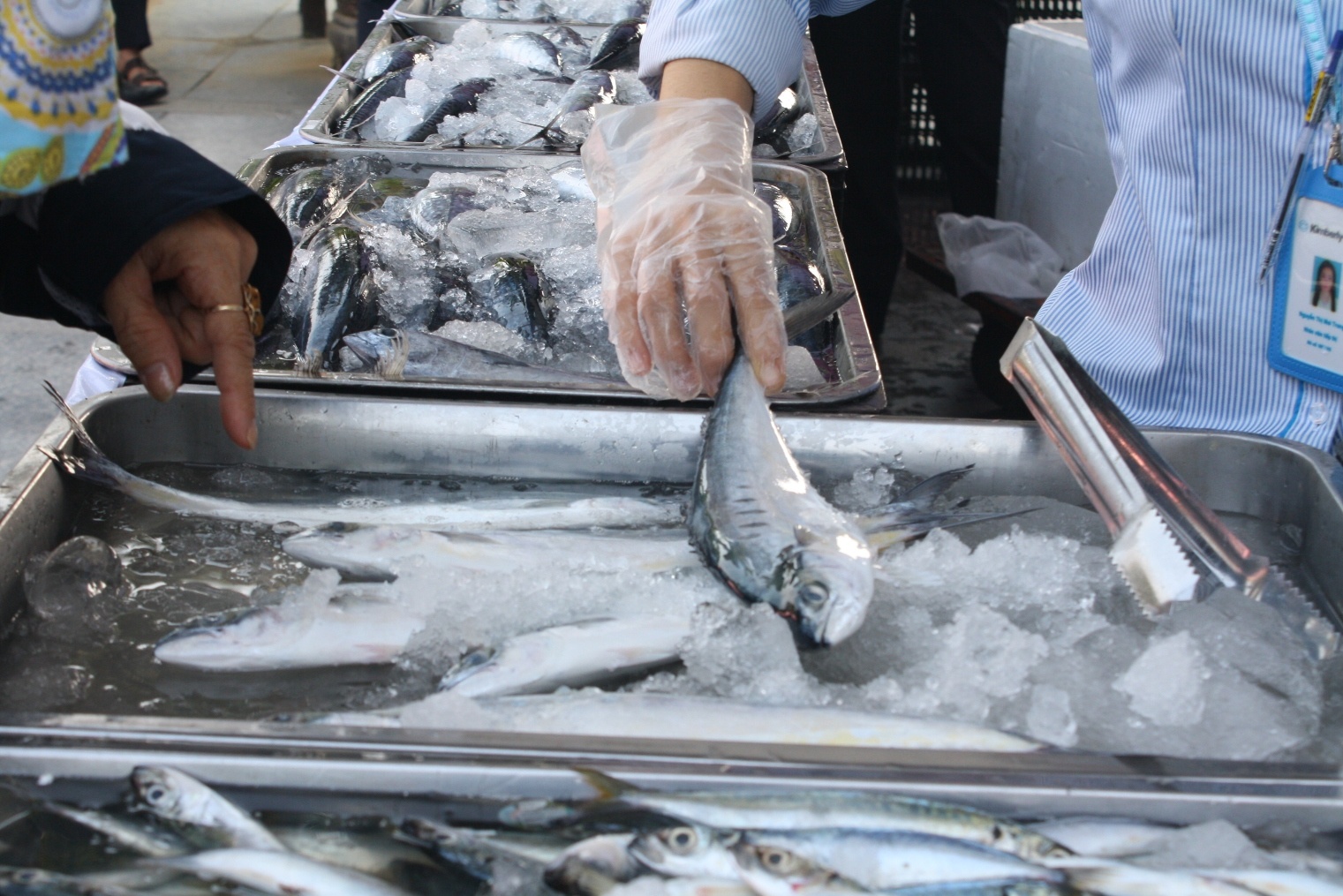 ban ca sach cho dan anh 9