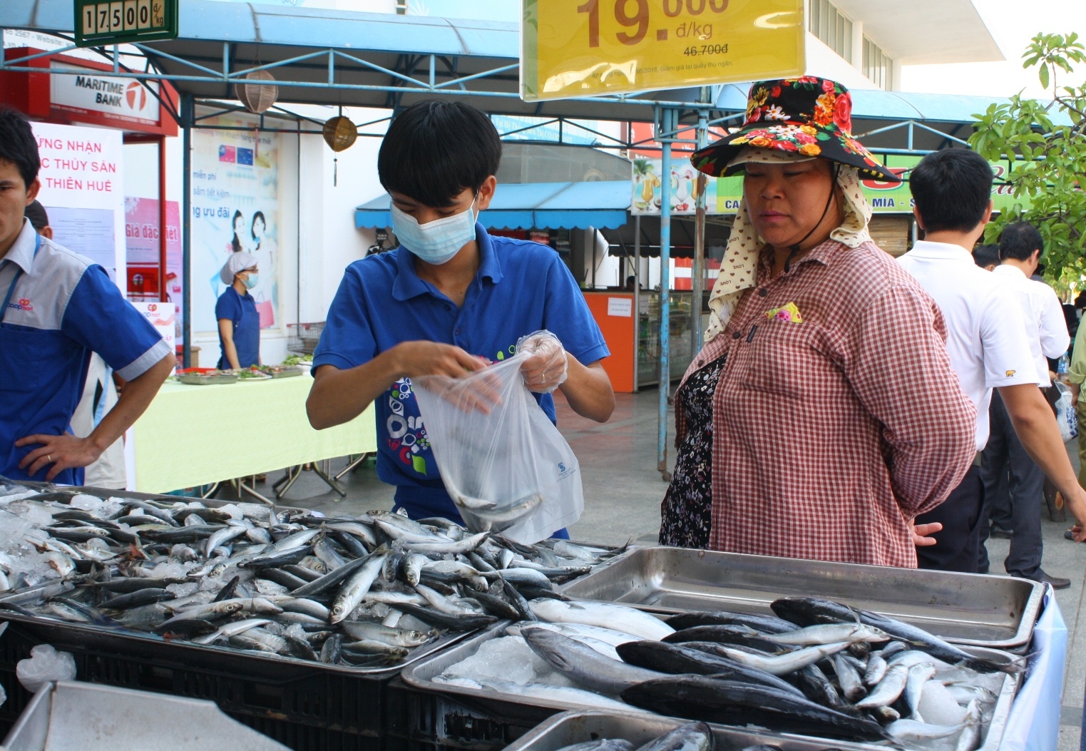 ban ca sach cho dan anh 3