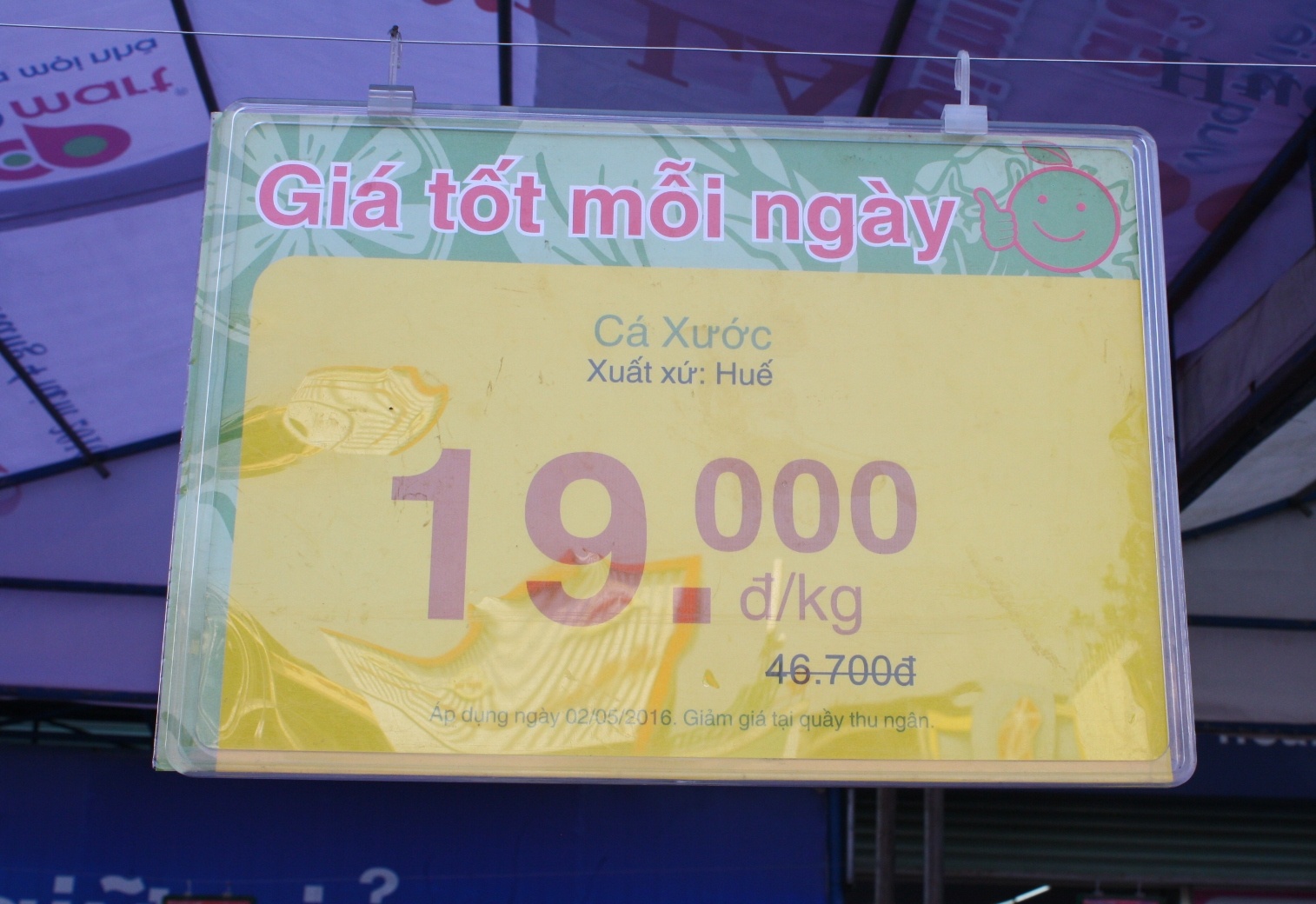 ban ca sach cho dan anh 6