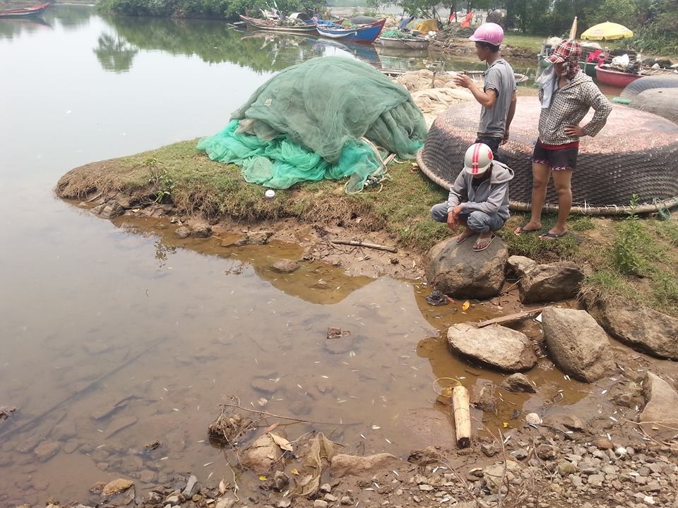 Tao la xuat hien gan diem ca nuoi chet hang loat o Hue hinh anh