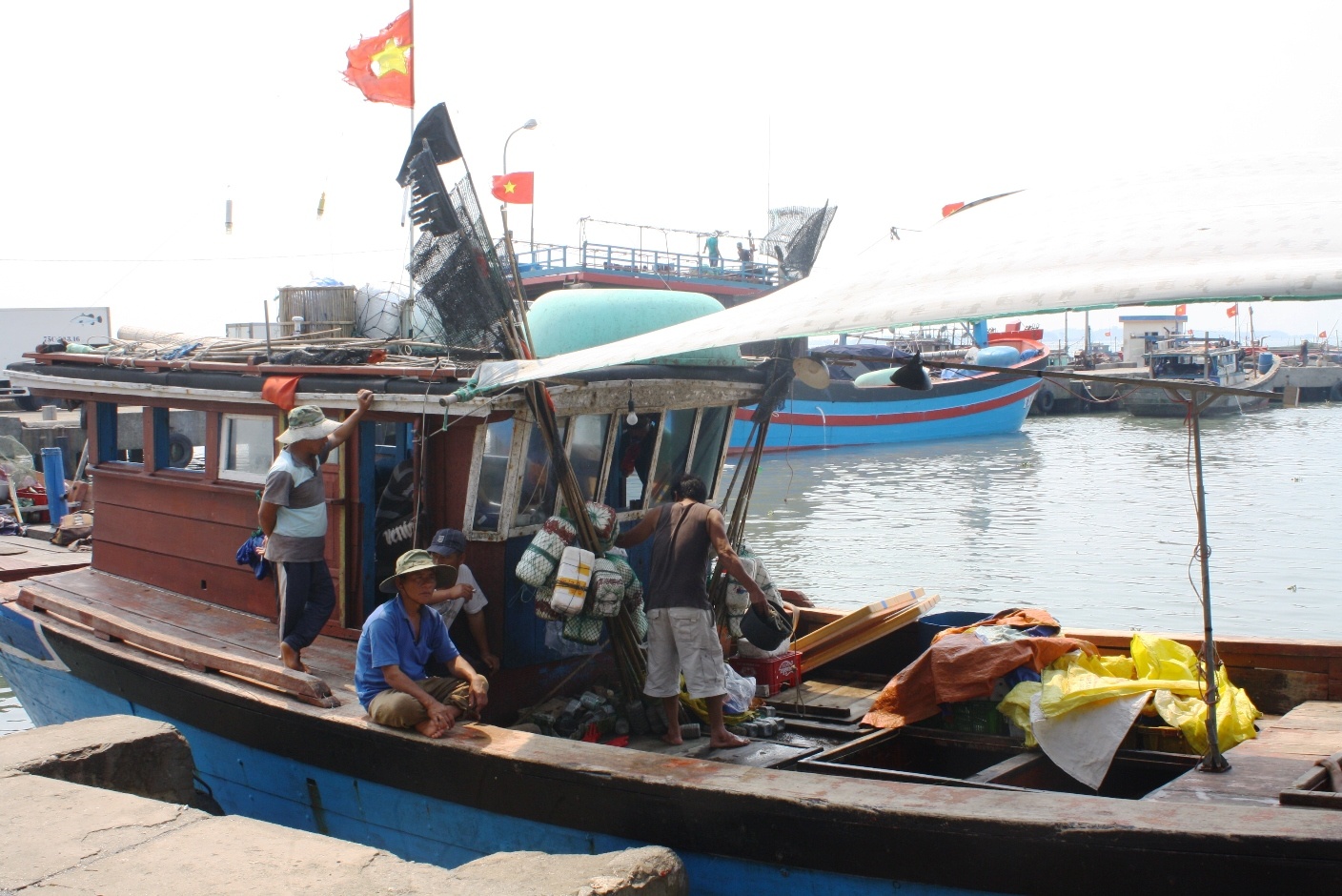 Thanh lap hoi dong danh gia thiet hai vu ca chet hang loat hinh anh