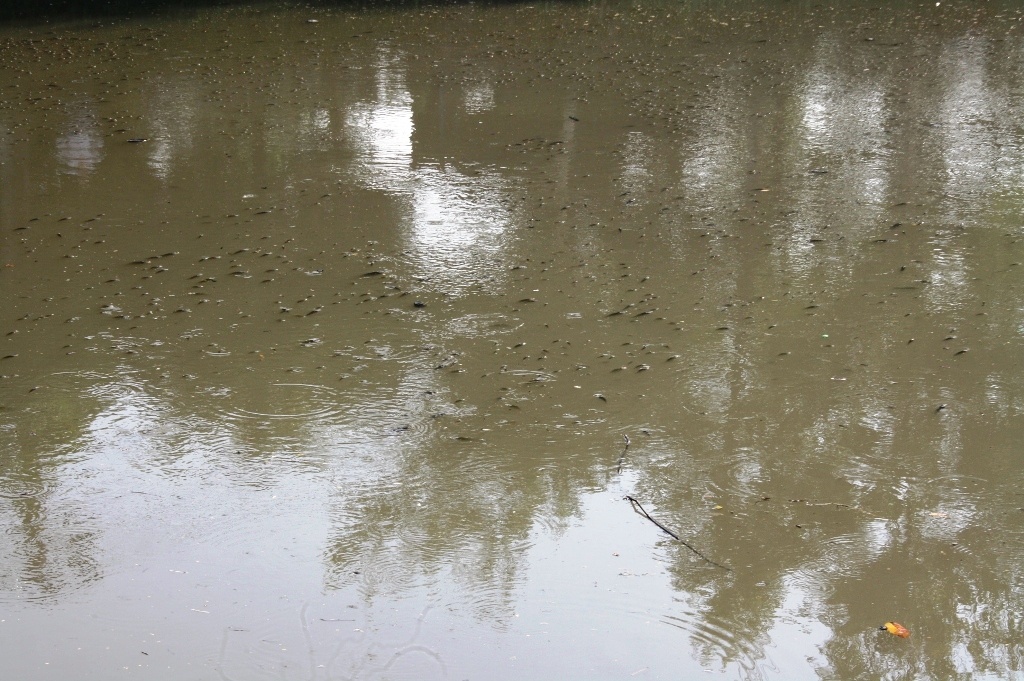 Ca noi trang song An Cuu anh 3