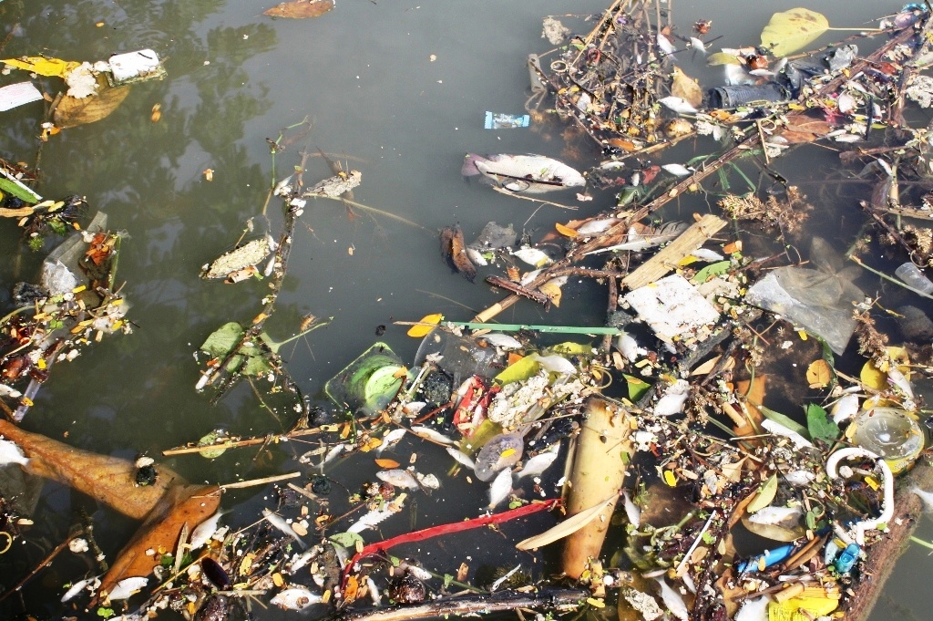 Ca noi trang song An Cuu anh 2