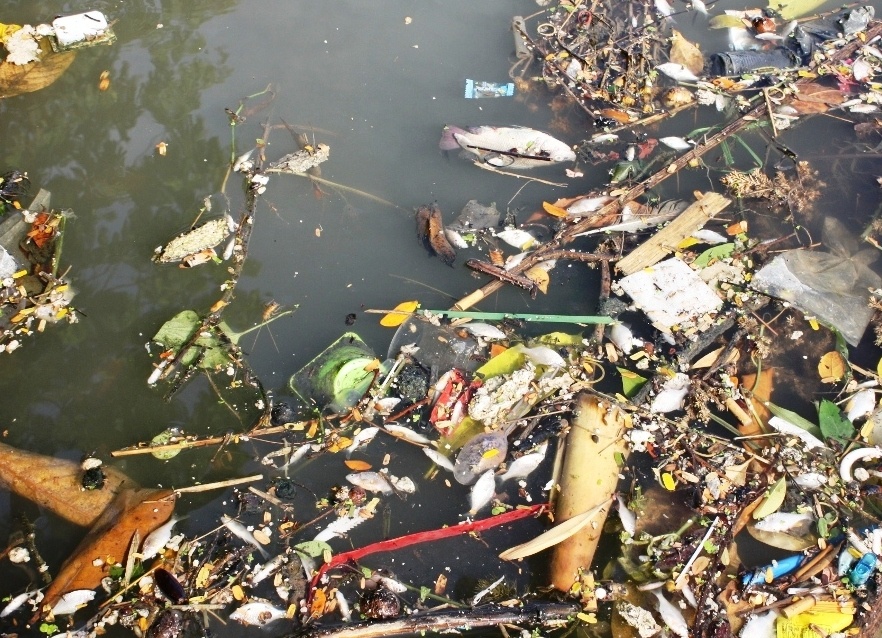 Sau con mua lon, ca noi trang song An Cuu hinh anh