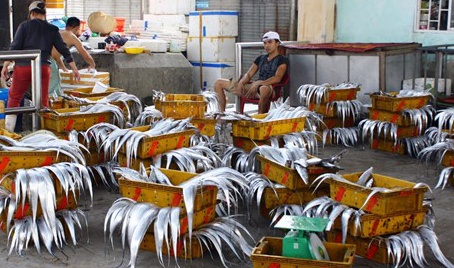 Ngu dan khong nen danh bat ca o 3 vung nuoc xoay va tang day hinh anh