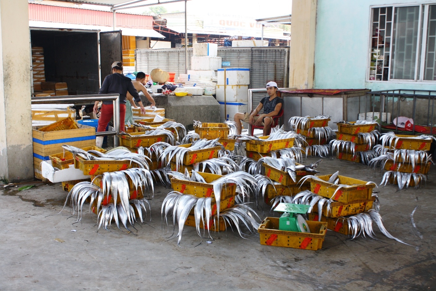 Su co moi truong o bien mien Trung anh 1