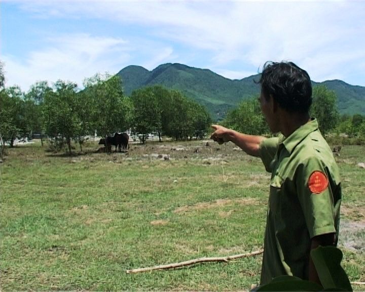 Chong om thi the vo sau khi bi bo huc tu vong anh 1