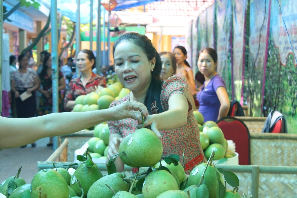 Thanh tra Thuy Bieu - dac san nuc tieng dat co do hinh anh