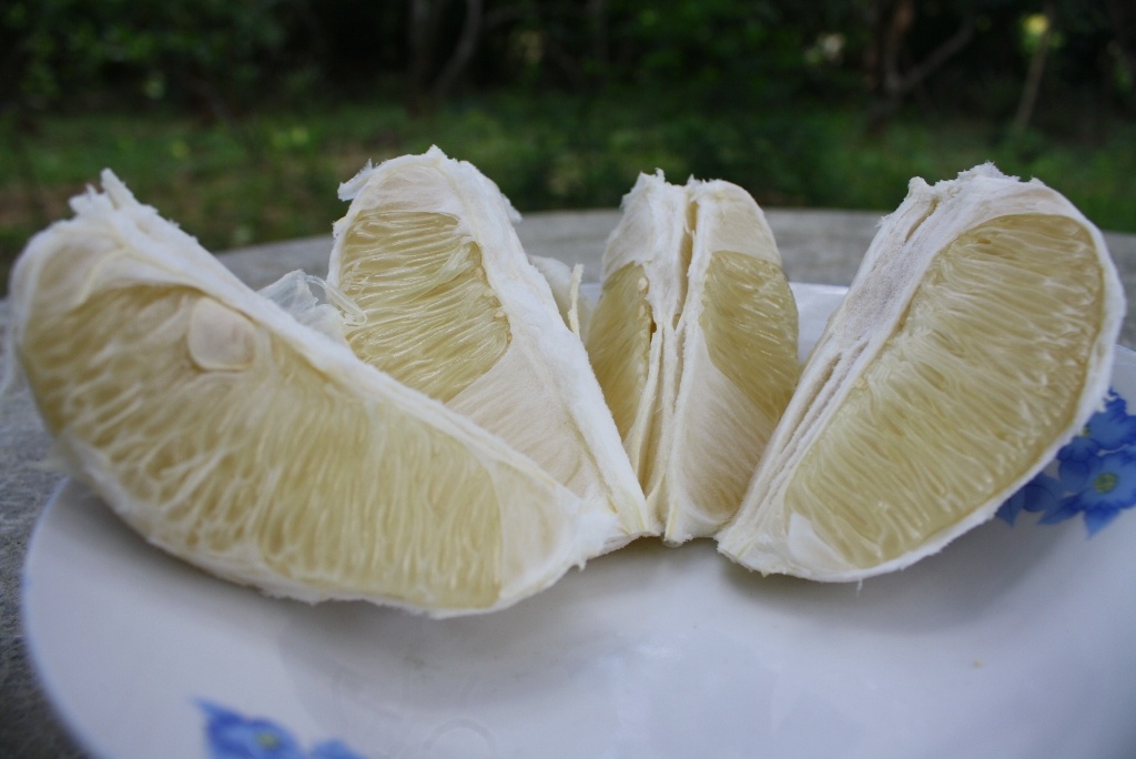 Thanh tra Thuy Bieu: dac san nuc tieng dat co do anh 4