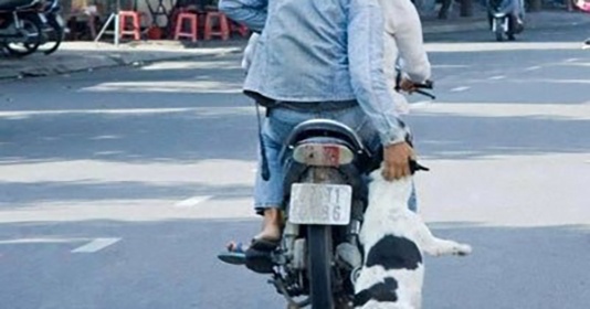 Nguoi dan vay bat ke trom cho hinh anh
