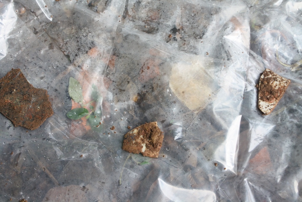 Doan khao co lang vua Quang Trung dao tham do 5 ho anh 2